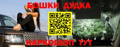 jwh Ставрополь